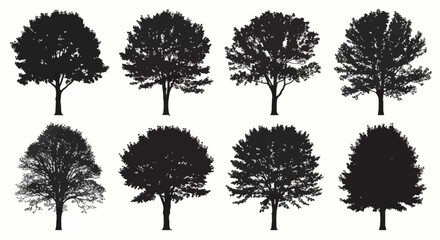 Fototapeta premium Collection of eight detailed black silhouettes representing various deciduous trees like maple, oak, and elm, isolated on white background for landscape design and architectural visualization.