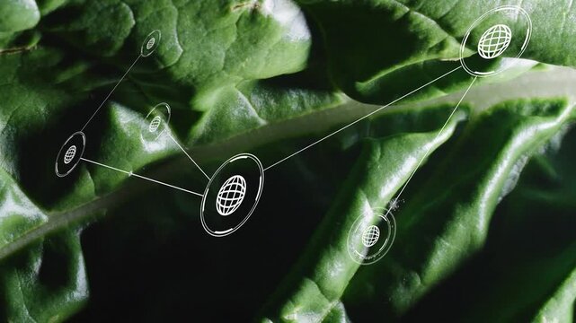 Single green leaf framing, initial globe node appearing, spawning network mapping veins for agtech
