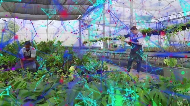 Vertical video: Nursery staff in aprons moving row, clipboard noting plants, overlay cueing action