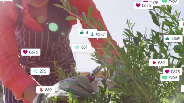 Vertical video: Trimming shrub with shears woman in apron, gloves drawing social badges on rooftop