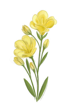 Ilustraci&oacute;n ramo de flores flor amarillo yellow silbvestre azucena hojas bonito verde primavera acuarela digital png amor 