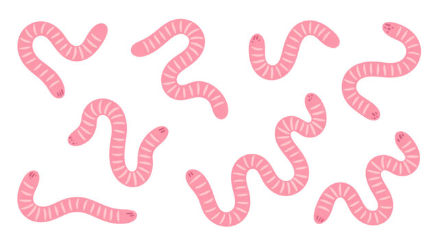 Playful collection of stylized pink squiggly line characters Vector