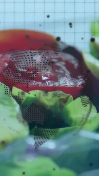 Vertical video: Plated salad shifting as camera pans, dot map wrapping tomato, avocado for food ads