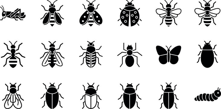 Insect icons set with bugs beetles butterflies ants collection biology entomology silhouette vector illustration