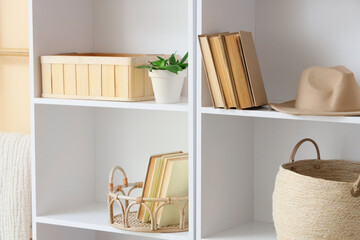Bookshelf with hat and plant in room, closeup © Pixel-Shot