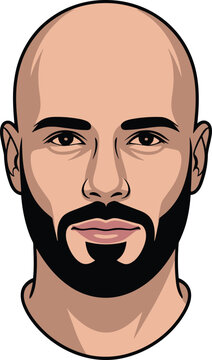 A bald guy with trendy groomed beard vector on white background.