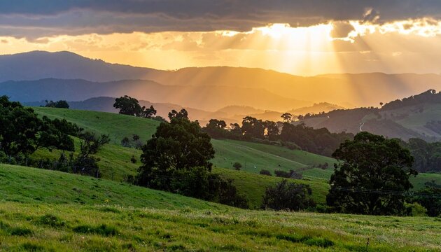 Hills at sunset with golden sunlight