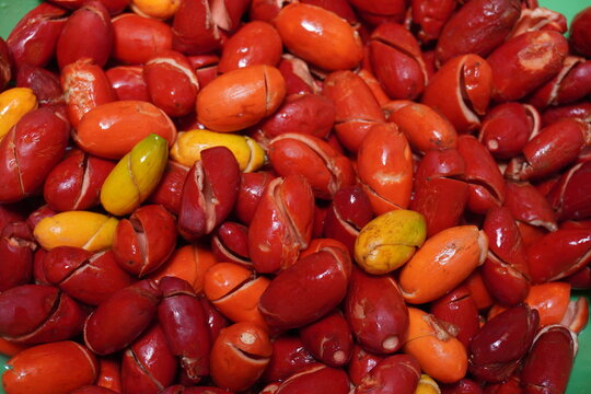 Gnetum gnemon or mlinjo skin closeup image