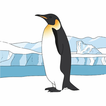 King penguin standing on ice landscape.