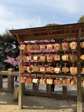 Vibrant display of colorful Ema votive prayer plaques hanging on a traditional wooden rack at Homangu Kamado Shrine in Japan. Dozens of wooden tablets adorned with cute handwritten wishes
