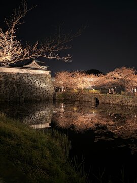 Enchanting nighttime view of Fukuoka Castle (Maizuru Park) in Japan, featuring ancient stone walls and the historic bridge gate illuminated against a deep midnight sky. Bare cherry blossom trees glow 