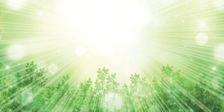 Bright Green Nature Background with Sunbeams and Leaves