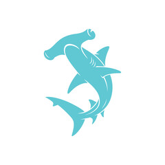 Obraz premium Turquoise shark aquatic animal sea creature