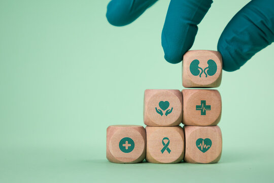Concept of kidney pathology, detection of renal cell carcinoma, and preventative checkups. A doctor's hand arranges wooden cubes with kidney icons. Green background.