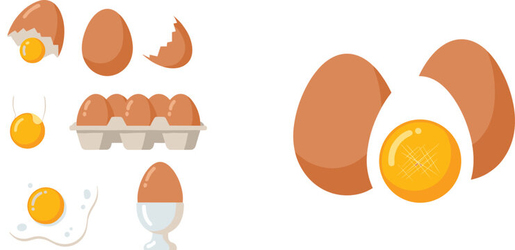 Egg Illustration Set with Whole Cracked Fried and Boiled Eggs Showing Different Cooking Styles for Food Ingredient and Breakfast Design Collection