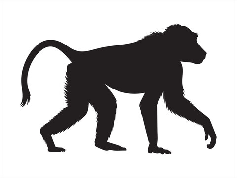Baboon Silhouette Vector, Wild Monkey Animal Isolated on White Background