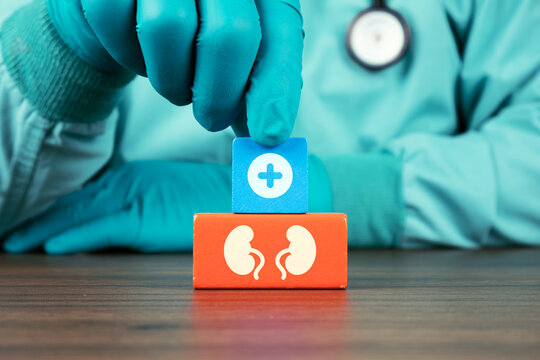 Concept of the renal unit, biological markers of kidney function and health in older adults. The nephrologist's hand arranges wooden cubes with kidney icons.
