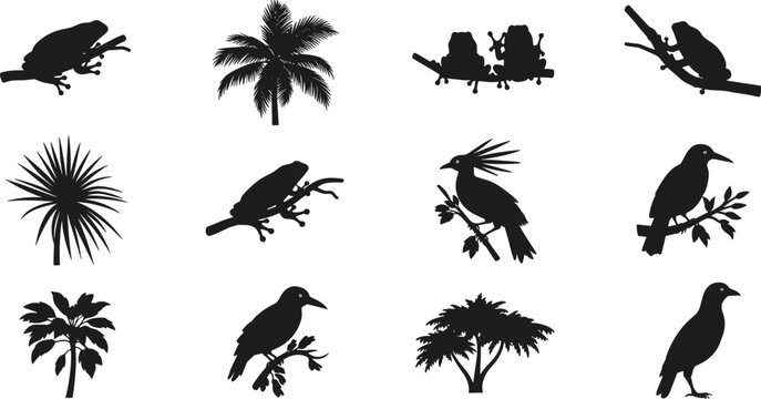 Set of tropical rainforest wildlife silhouettes, featuring tree frogs on branches, exotic birds, palm trees, and lush  stock illustration.