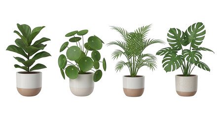Fototapeta premium Assortment of four potted houseplants isolated on white background