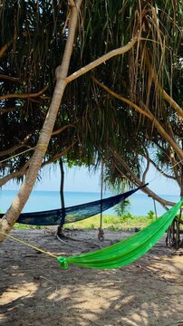 Colorful hammocks hanging between tropical pandanus trees on a sunny beach. Peaceful shaded rest area with a view of the turquoise ocean in Thailand. Concept of relaxation, travel, and paradise.