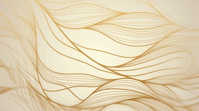 Linear Gold Pattern animation
