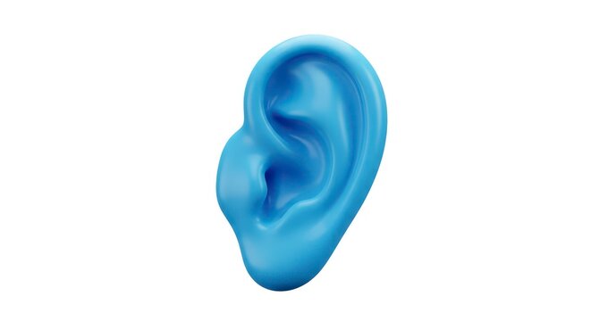 Human ear anatomy model blue.