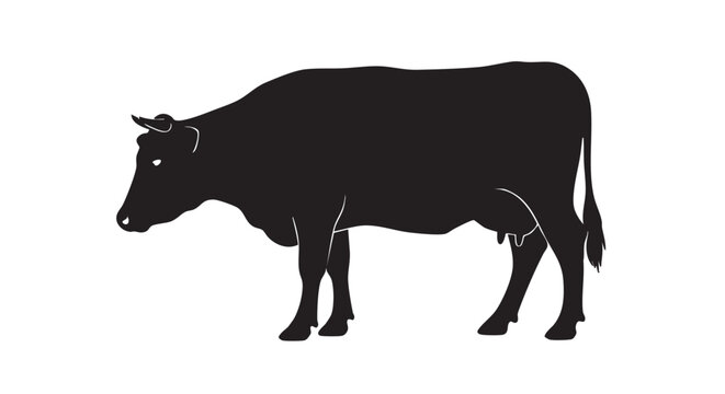Black cow silhouette in simple flat design with white outline on clean white background for agriculture branding