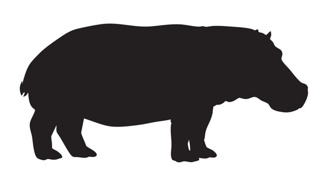 Hippopotamus silhouette profile view dark monochrome isolated on white background for wildlife illustration