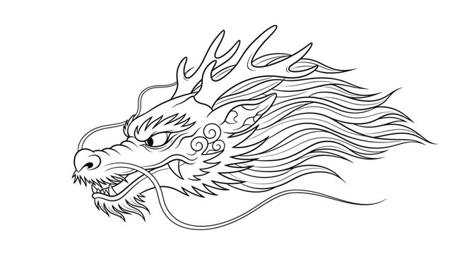 Dragon head with long flowing mane.