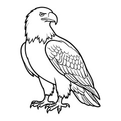 Fototapeta premium Elegant eagle illustration with sharp talons