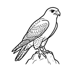 Fototapeta premium Majestic hawk perched on rocky outcrop in sharp detailed illustration