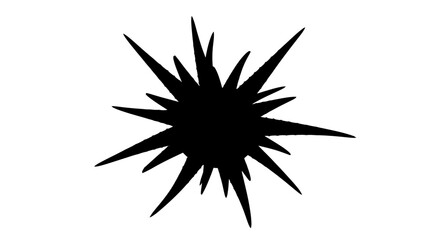 Fototapeta premium Abstract starburst shape in stark black a dramatic silhouette