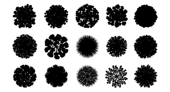 tree top view silhouettes and graphic resources of various plants isolated on white for architectural plans and landscape design.