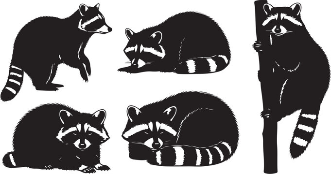 Five raccoons in various sitting and standing poses illustrated in black and white silhouette vector icon