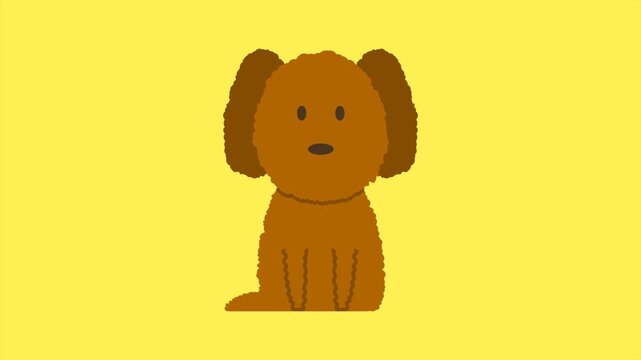 Animation of cute doodle dog on yellow background. Motion graphic.