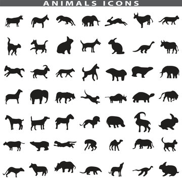 Animal silhouette collection. Set of black animal silhouette. Animal icons. Mammal, fish, insects, birds, reptiles silhouette collection. Wild, domestic animals icons