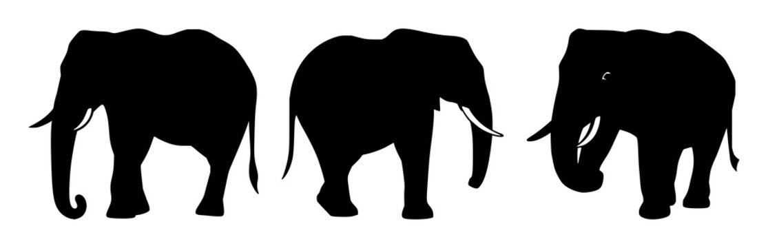Wildlife conservation elephant set with solid black icon design featuring African elephant, endangered species, mammal with animal and wildlife symbol