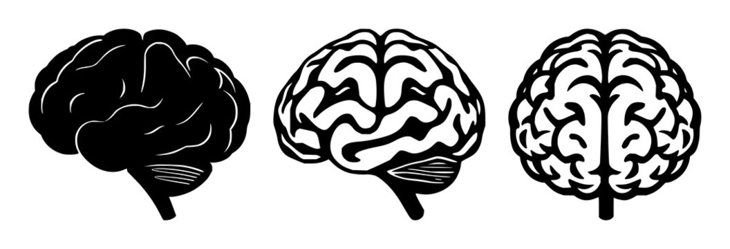 Brain learning icon set with solid black design on white background featuring brain, education, knowledge with memory and growth