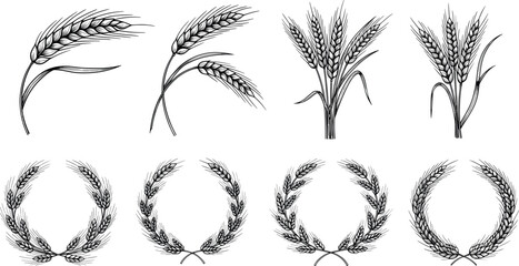 Fototapeta premium Wheat Stalk and Wreath Collection, Hand-Drawn Illustrations of Wheat Grain and Decorative Wheat Laurel Wreaths