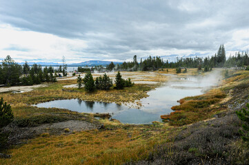Obraz premium Norris Geyser Basin Landscape 