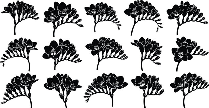 Black and white floral with varying flower and leaf arrangements flowers leaves