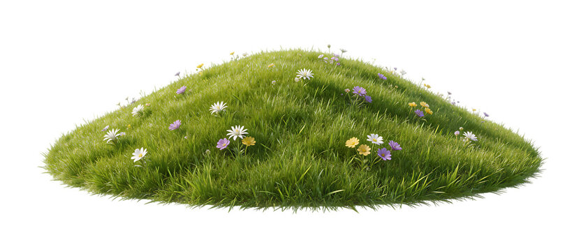 高山の花々が彩る瑞々しい草丘の切り抜き背景