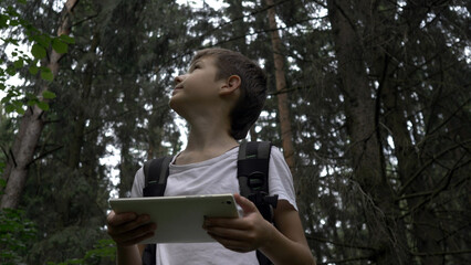 Fototapeta premium boy traveler uses a tablet in the forest, checks the route by navigator, outdoors, have fun and enjoy