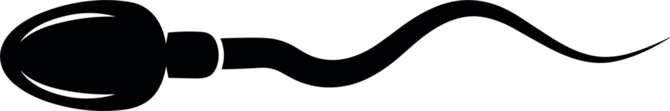 Sperm cell silhouette reproductive biology symbol isolated fertility and human anatomy vector illustration