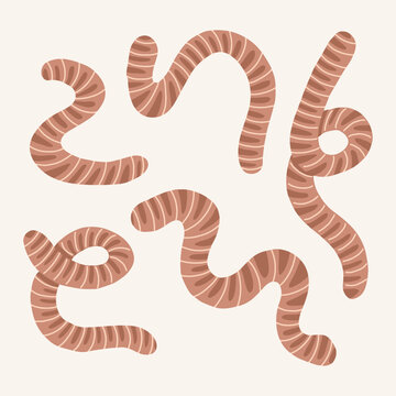 Earthworm vector set. Hand drawn striped curvy creatures in various shapes and positions. Collection earthworm characters vector illustration isolated on white