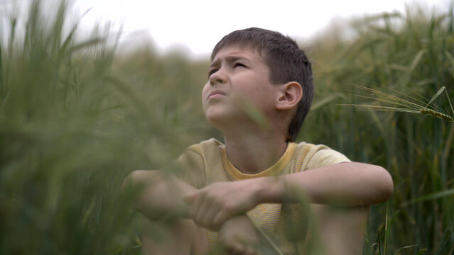 serious boy with a tence glance is sitting in the field looking at the sky, have fun and enjoy