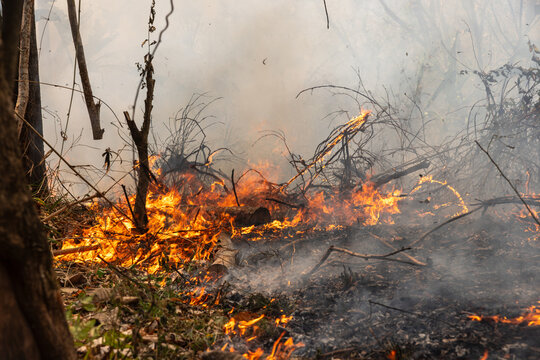 Greenhouse gas emissions from agricultural residue burning have increased in southeast asia.