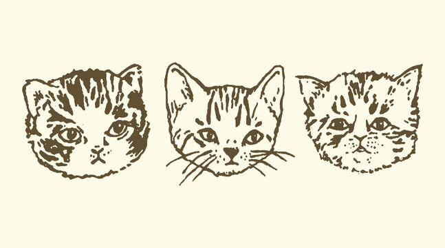 Three stylized cat faces with striped fur domestic portrait illustration engraving monochrome stylized adorable whiskers collection minimalist character creature companion