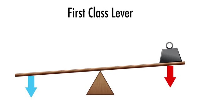 Educational animation showing first class lever mechanics with fulcrum effort and load components.