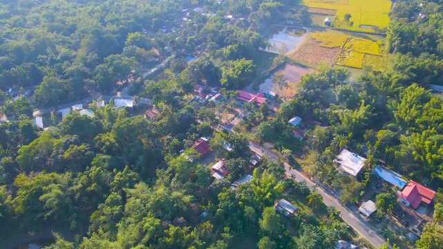 Drone view of houses along a winding road with fields, ponds, and greenery in Byaskuchi village, Assam, India.